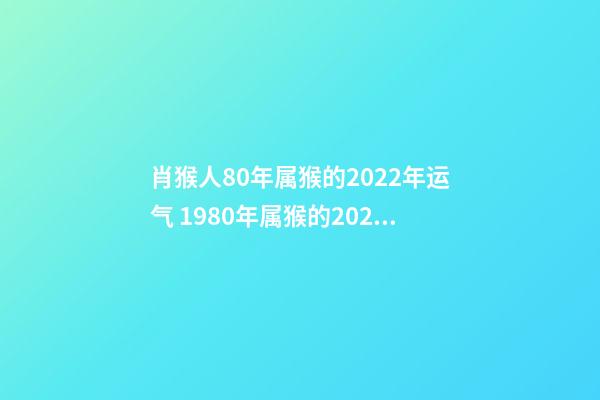 肖猴人80年属猴的2022年运气 1980年属猴的2022年的运势怎么样-第1张-观点-玄机派